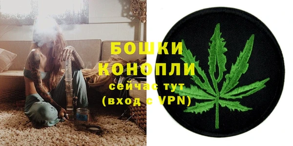 прущий лед Инсар