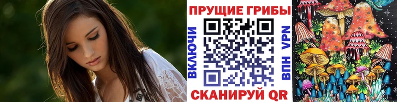 Купить  Ивдель  Галлюциногенные грибы GOLDEN TEACHER 
